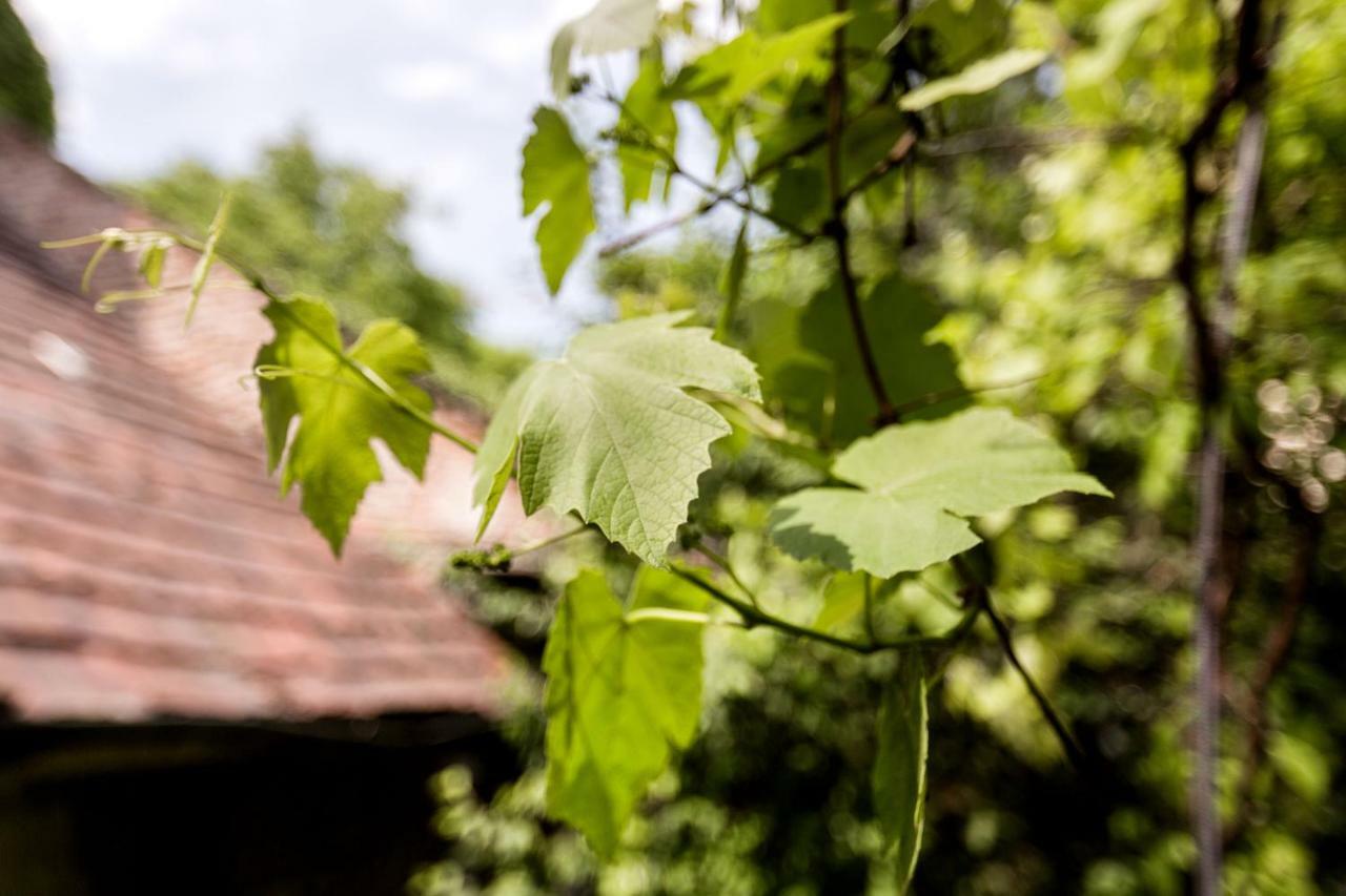 Gul Baba Saray Apartments Budapest Eksteriør bilde